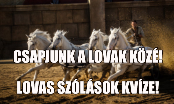 Csapjunk A Lovak Koze Lovas Szolasok Kvize Kvizmester Com